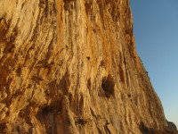 SNV80493.JPG